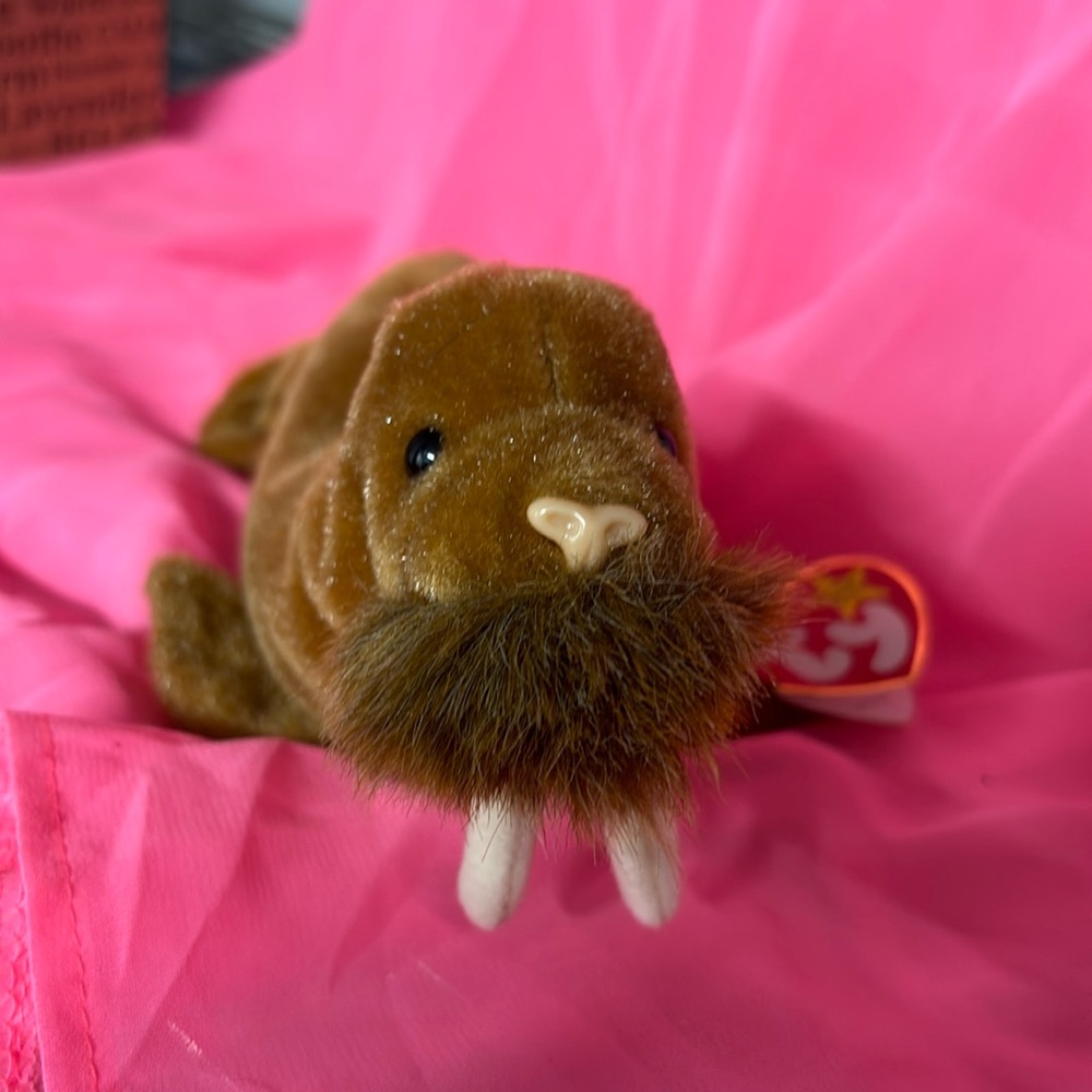 Ty Beanie Baby Paul the Walrus DOB 2/23/1999 Orig. Tags w/ Errors Beanbag Plush